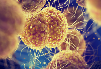 Microscopic view of a virus