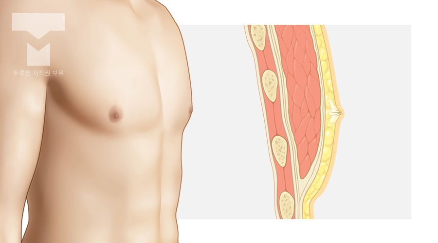 남성의 가슴